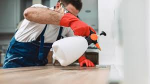 Best Pest Control for Multi-Family Homes  in USA